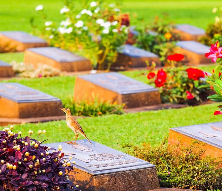 Préservez le souvenir avec soin